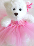 Teddy Bear Princess