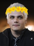 Gerard Way / 17