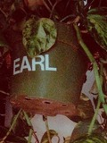 Earl the Plant